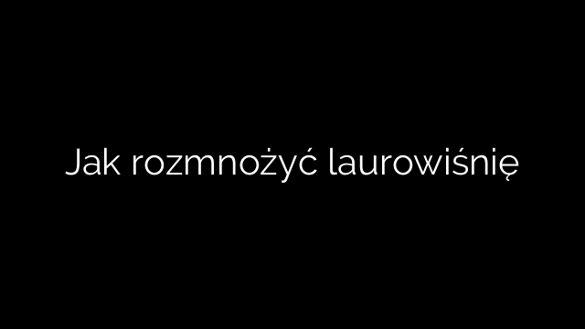 Jak rozmnożyć laurowiśnię