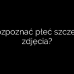 Jak rozpoznać płeć szczeniaka zdjęcia?