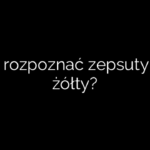 Jak rozpoznać zepsuty ser żółty?