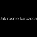 Jak rośnie karczoch