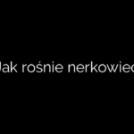 Jak rośnie nerkowiec