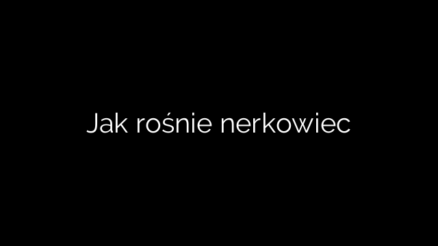 Jak rośnie nerkowiec