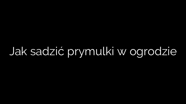 Jak sadzić prymulki w ogrodzie