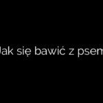 Jak się bawić z psem