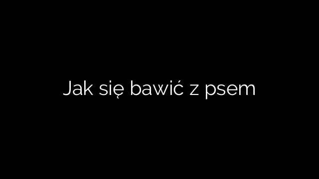 Jak się bawić z psem