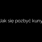 Jak się pozbyć kuny