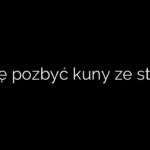 Jak się pozbyć kuny ze strychu