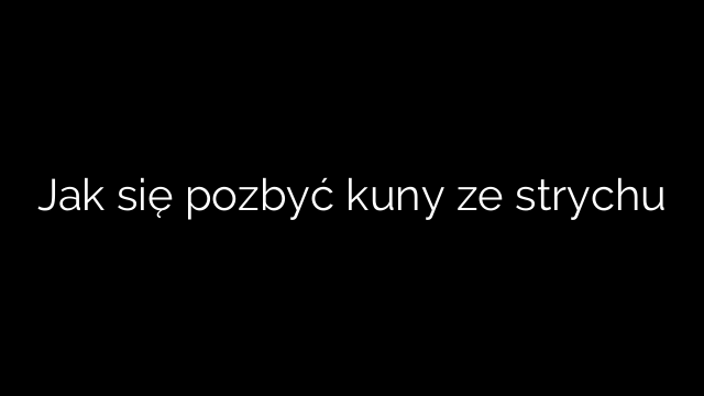 Jak się pozbyć kuny ze strychu