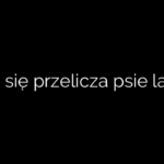 Jak się przelicza psie lata?