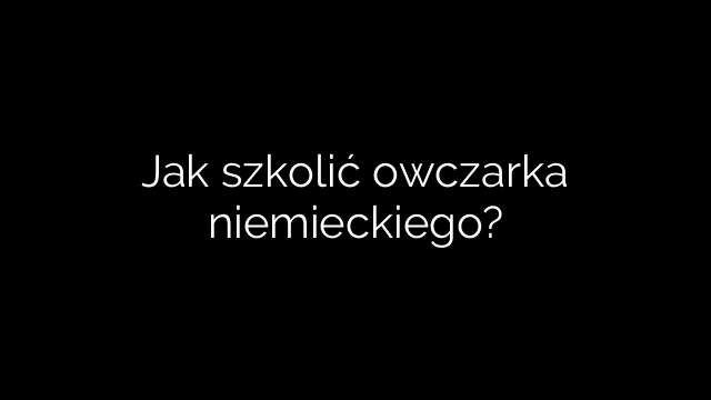 Jak szkolić owczarka niemieckiego?