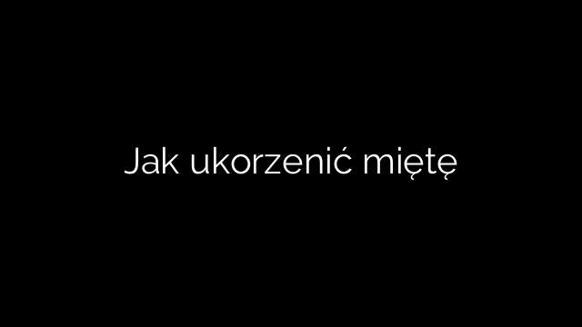 Jak ukorzenić miętę