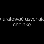 Jak uratować usychającą choinkę