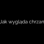 Jak wygląda chrzan