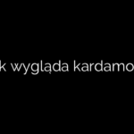 Jak wygląda kardamon?