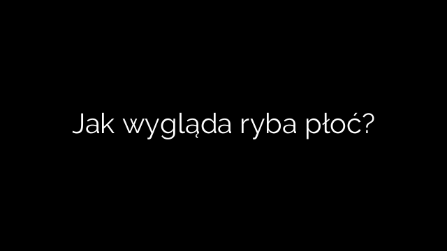 Jak wygląda ryba płoć?