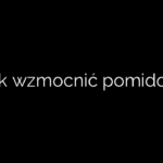 Jak wzmocnić pomidory