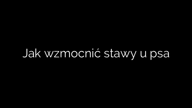 Jak wzmocnić stawy u psa
