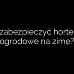 Jak zabezpieczyć hortensje ogrodowe na zimę?
