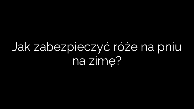 Jak zabezpieczyć róże na pniu na zimę?