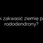 Jak zakwasić ziemię pod rododendrony?