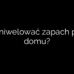 Jak zniwelować zapach psa w domu?