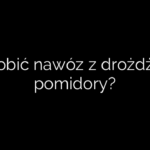 Jak zrobić nawóz z drożdży pod pomidory?