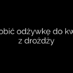 Jak zrobić odżywkę do kwiatów z drożdży