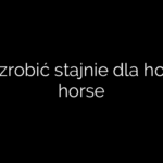 Jak zrobić stajnie dla hobby horse