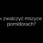 Jak zwalczyć mszyce na pomidorach?