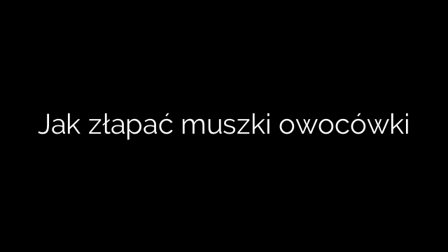 Jak złapać muszki owocówki