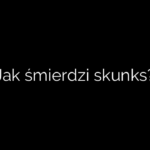 Jak śmierdzi skunks?