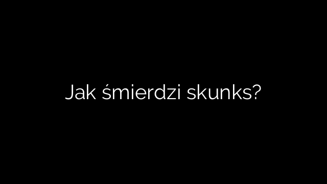 Jak śmierdzi skunks?
