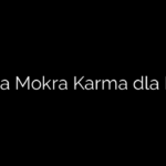 Jaka Mokra Karma dla Psa