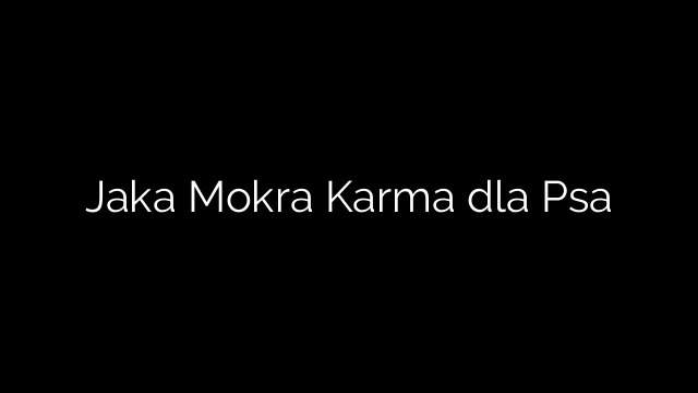 Jaka Mokra Karma dla Psa