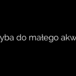 Jaka ryba do małego akwarium