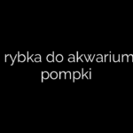 Jaka rybka do akwarium bez pompki