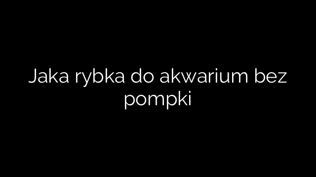 Jaka rybka do akwarium bez pompki