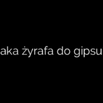Jaka żyrafa do gipsu?