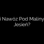 Jaki Nawóz Pod Maliny Na Jesień?