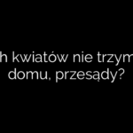 Jakich kwiatów nie trzymać w domu, przesądy?