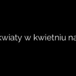Jakie kwiaty w kwietniu na ślub?