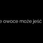 Jakie owoce może jeść pies