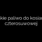Jakie paliwo do kosiarki czterosuwowej