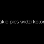 Jakie pies widzi kolory