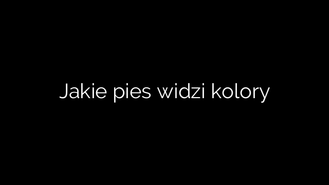 Jakie pies widzi kolory