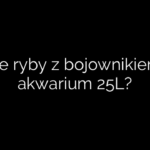 Jakie ryby z bojownikiem w akwarium 25L?