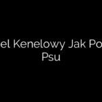 Kaszel Kenelowy Jak Pomóc Psu