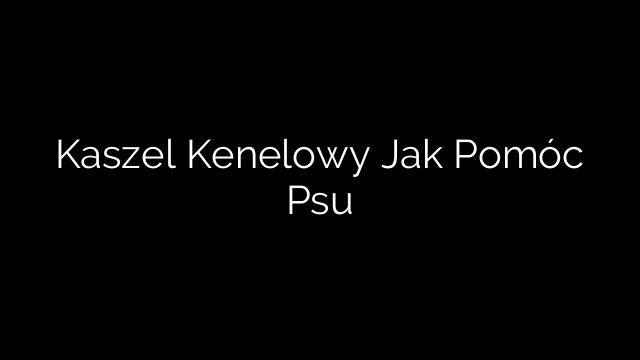 Kaszel Kenelowy Jak Pomóc Psu