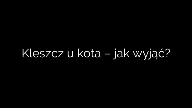 Kleszcz u kota – jak wyjąć?