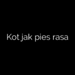 Kot jak pies rasa